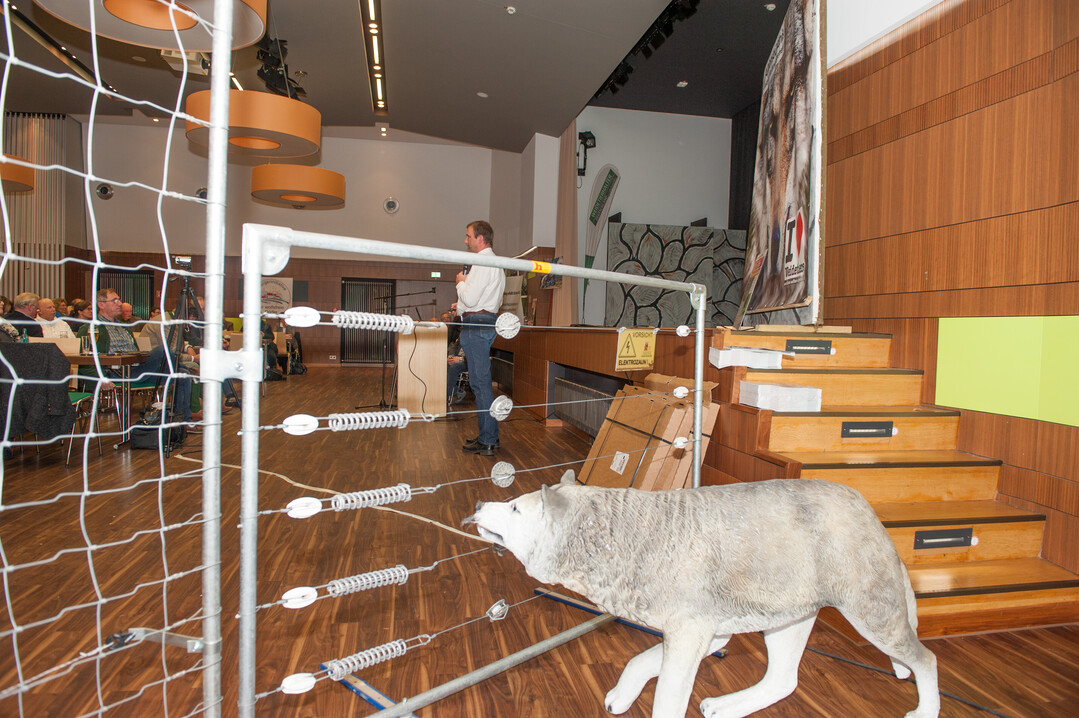 Wie man Weidetiere vor dem Wolf schützen kann, zeigten die mitgebrachten Zäune von Martin Holm, Firmeninhaber der Highland, Stall und Weide GmbH.