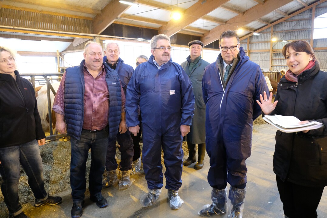 Den Startschuss des Landwirtschaftsministeriums fr die landesweite Impfkampagne begleiteten im Stall von Erwin Bler (l.) neben Minister Peter Hauk (2.v.r.) unter anderem Karl Rombach, Vorsitzender der Tierseuchenkasse (3.v.l.) und Dr. Gerhard Kuhn, Referatsleiter Tiergesundheit im MLR (2.v.l.). Pressesprecherin Isabel Kling stellt die Teilnehmer vor.