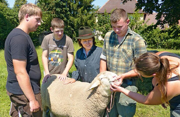 Kerstin Smietana (mitte) mit Berufsschlern bei der Tierbeurteilung im Rahmen der berbetrieblichen 
Ausbildung: Kontrolle der Zahnstellung bzw. des Zahnbildes fr die Alterskontrolle beim Schaf. 