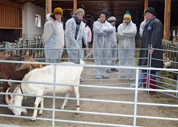 Ziegenbeurteilung im Rahmen des Bildungsprogramms Landwirt (Bila). 