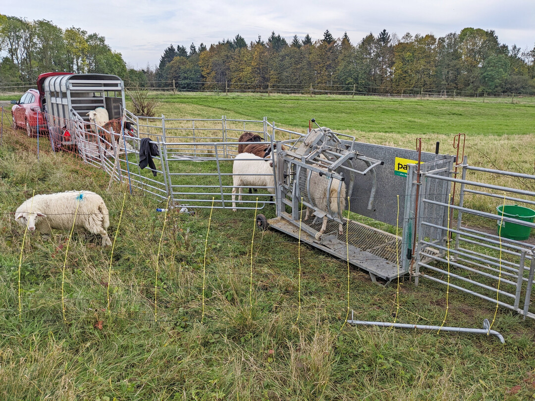 Behandlungsanlage mit mobilem Behandlungsstand.