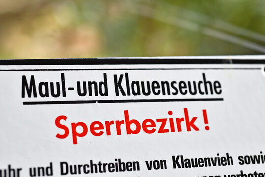 Zur Vorbeugung und Bekmpfung der Maul- und Klauenseuche (MKS) gibt es umfassende
EU-Vorgaben, v.a. die Verordnung (EU) 2016/429 des Animal Health Law (AHL).