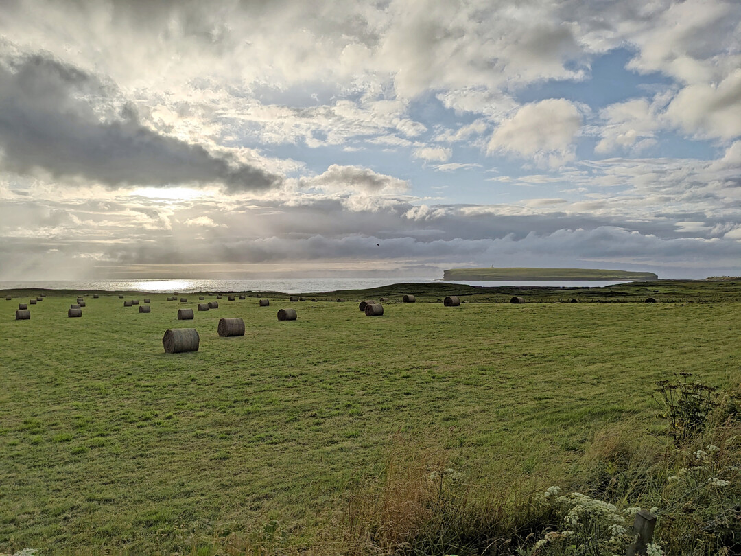Ein neuseelndischer Landwirt entwickelte ein Ballennetz, das die Tiere einfach auffressen knnen.