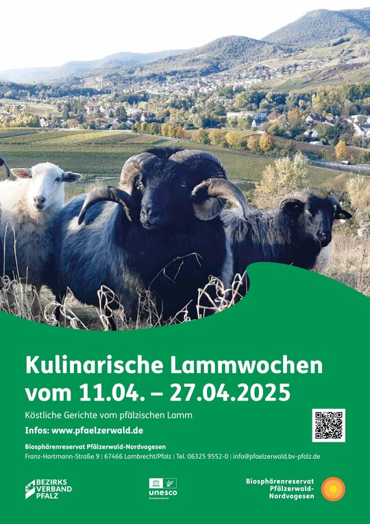 Plakat zu den Lammwochen des Biosphrenreservat Pflzerwald-Nordvogesen.