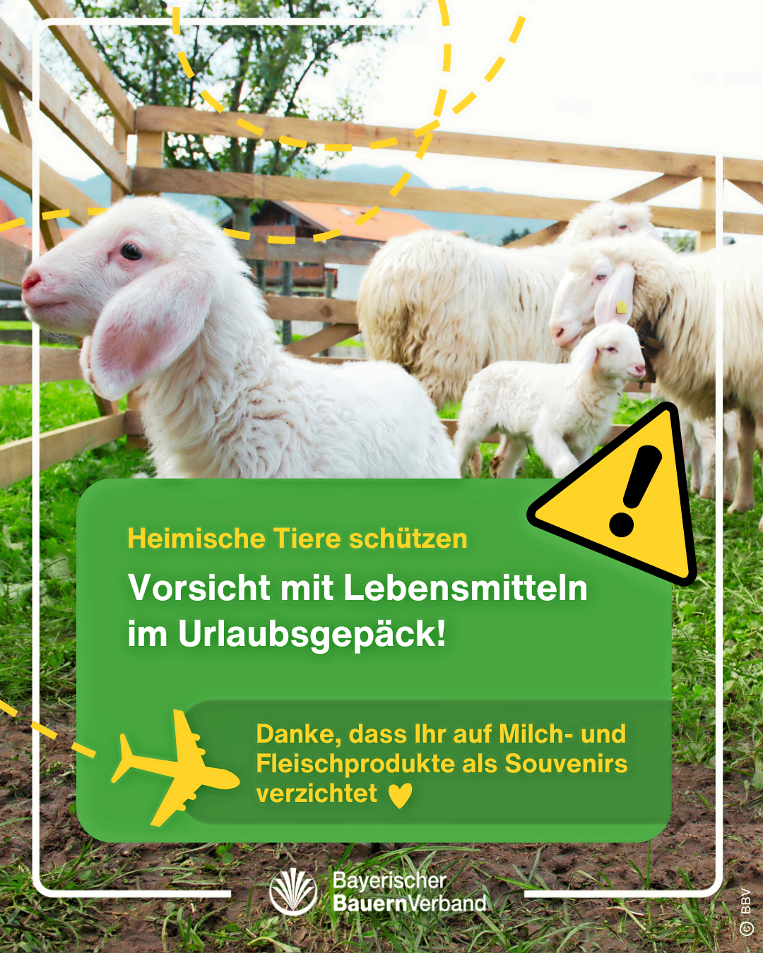 zu diesen Lebensmitteln zhlen auch Kostproben, die im Rahmen einer Betriebsbesichtigung erstanden wurden.