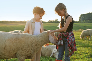 Viele Kinder haben nur noch selten Kontakt mit (Nutz-)Tieren und der Landwirtschaft im Allgemeinen. Durch die Bauernhofbesuche erlangen sie Einblicke in die Landwirtschaft.
