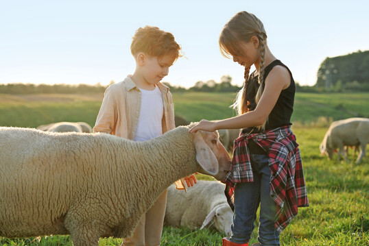 Viele Kinder haben nur noch selten Kontakt mit (Nutz-)Tieren und der Landwirtschaft im Allgemeinen. Durch die Bauernhofbesuche erlangen sie Einblicke in die Landwirtschaft.