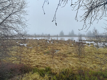 Archivbild Moorlandschaft.