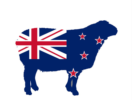 Ab dem 1. Juli 2025 greift in Neuseeland die neue Beschaffungsregel, um die inlndische Wollindustrie und Landwirtschaft zu frdern.