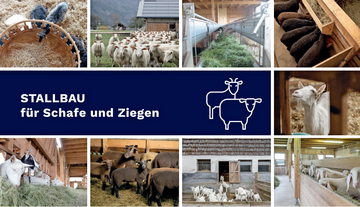 Ausschnitt aus dem Titelbild der neuen Broschre.