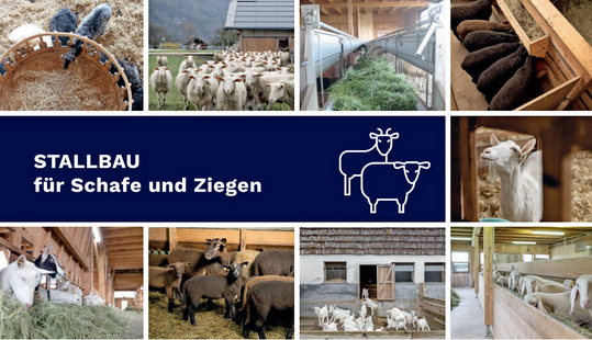 Ausschnitt aus dem Titelbild der neuen Broschre.