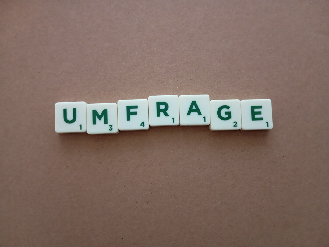 Schriftzug Umfrage