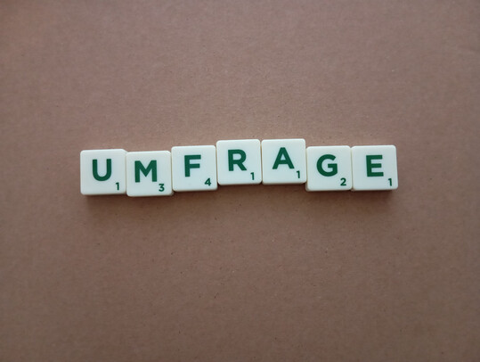 Schriftzug Umfrage