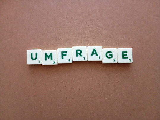 Schriftzug Umfrage