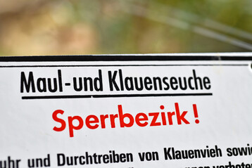 Dieses Mal war es nur eine bung. Und diese ist wichtig, denn im Ernstfall mssen Behrden, Veterinrmter, Landwirte und weitere Beteiligte problemlos zusammenarbeiten, um die Verbreitung einer Seuche einzudmmen.