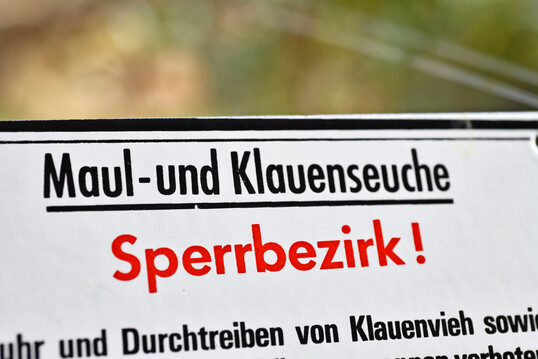 Dieses Mal war es nur eine bung. Und diese ist wichtig, denn im Ernstfall mssen Behrden, Veterinrmter, Landwirte und weitere Beteiligte problemlos zusammenarbeiten, um die Verbreitung einer Seuche einzudmmen.