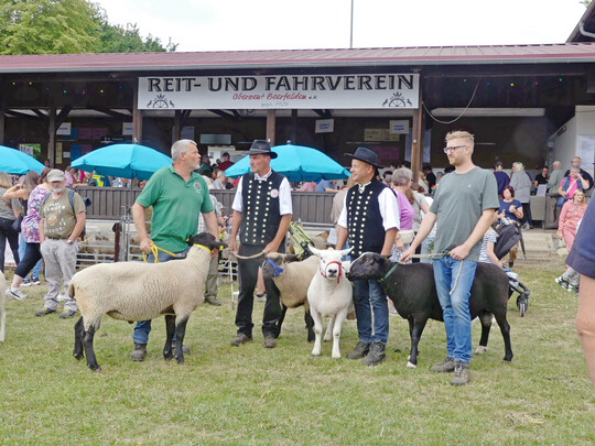 Vertreter der Wirtschaftsrassen in Beerfelden.