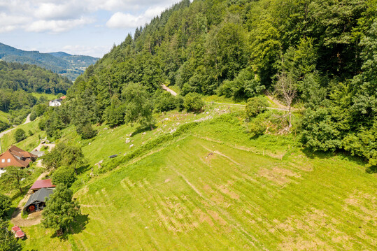 Steile Tler, Sonderstandorte und ein Mosaik aus Wald und Weideflchen prgen das Landschaftsbild im Schwarzwald und stellen Nutztierhaltende in Sachen Herdenschutz vor Herausforderungen. 