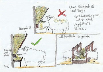 Die Grafik wurde von Katrin Sonnemann gezeichnet. Sie ist Mit-Autorin des Standardwerkes „Schafwolle verarbeiten“.