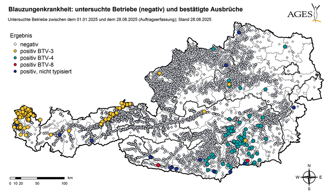 Bislang tritt BTV-8 im Sden sterreichs auf. Ob und wie stark sich die Krankheit ausbreitet, ist vom Handeln der Tierhaltenden und Tierrzte, aber vor allem dem Wetter abhngig.