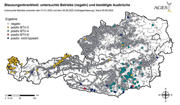 Bislang tritt BTV-8 im Sden sterreichs auf. Ob und wie stark sich die Krankheit ausbreitet, ist vom Handeln der Tierhaltenden und Tierrzte, aber vor allem dem Wetter abhngig.