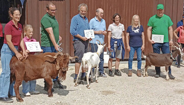 Siegertiere der Ziegenschau in Gerstetten.