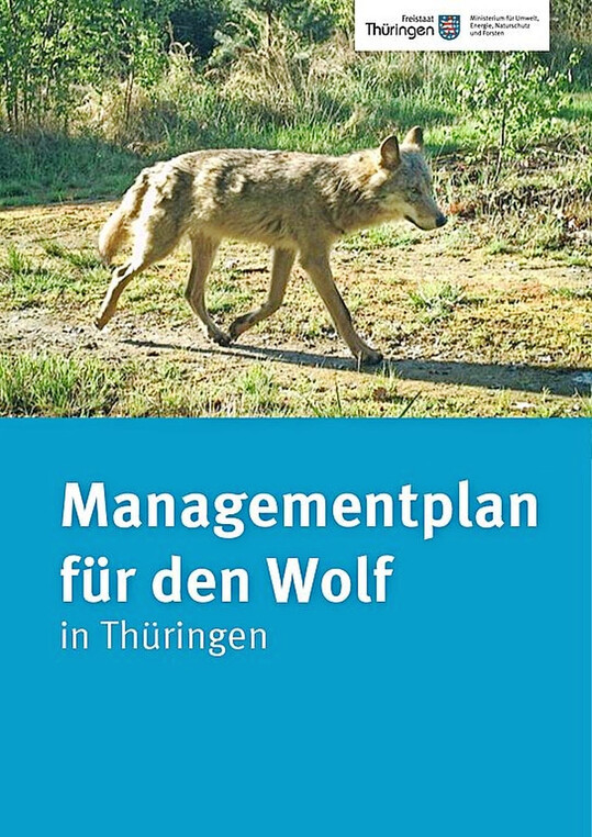 Titelblatt des online verfgbaren Managementplans (Link im Text).