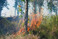 Fehlt die Vegetation  sogenannte Brandschneisen  kann sich ein Waldbrand nicht weiter ausbreiten.
