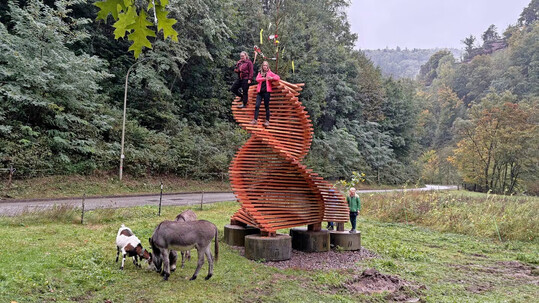 Alexandra Kasper und Ameli Dammann (auf dem Turm) haben den Wettbewerb mit ihrem Kletterturm fr Ziegen gewonnen. Der Turm erinnert an ein Ziegenhorn und ist komplett aus Holz.