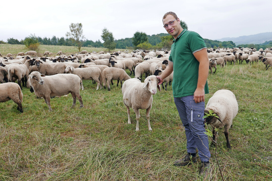 In seiner Berufsschulklasse in Halle im Ausbildungszweig Tierwirt, Fachrichtung Schäferei, war Anton Linsmann der einzige Schäfer-Azubi aus Nordrhein-Westfalen. Zurzeit nimmt er am Meisterkurs im bayerischen Triesdorf teil.