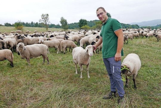 In seiner Berufsschulklasse in Halle im Ausbildungszweig Tierwirt, Fachrichtung Schferei, war Anton Linsmann der einzige Schfer-Azubi aus Nordrhein-Westfalen. Zurzeit nimmt er am Meisterkurs im bayerischen Triesdorf teil.
