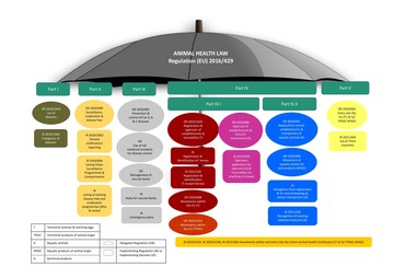 Grafik AHL Regulation (EU)