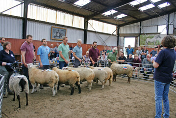 Alle Rassesieger versammelt im Ring in Kollmar.