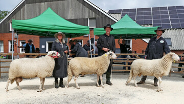 Die Z�chter Schmitz, Dobben und van Amelsvoort mit den Siegerb�cken in Uelsen.