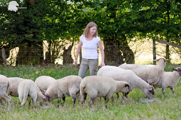 Christine Erkens beschäftigt sich seit Jahrzehnten mit dem Thema Naturheilkunde – auch bei ihren eigenen Schafen.
