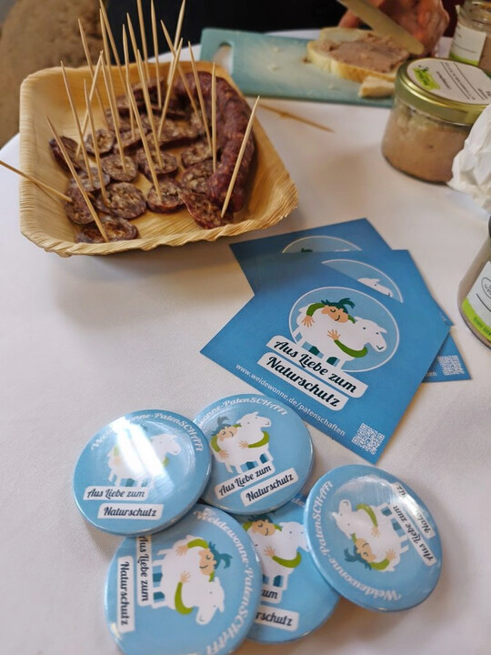 Flyer und Buttons von Weidewonne, um den Mehrwert der Schafhaltung an die Öffentlichkeit zu tragen.
