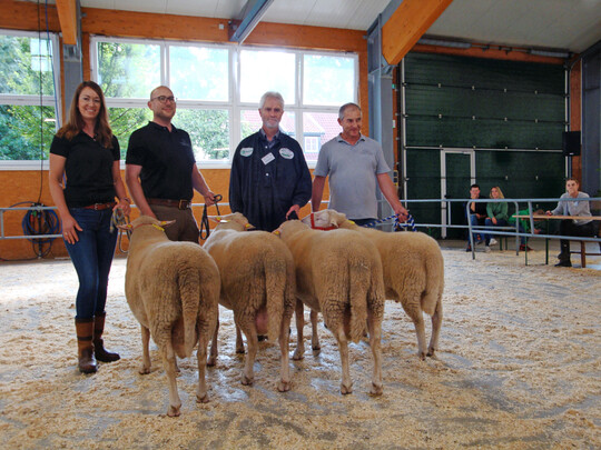 Der Jährlingsbock der Zuchtgemeinschaft Kempe/Götz (l.) wurde Klassensieger und später auch Siegerbock.