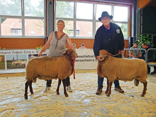 Coburger Fuchs-Jährlingsböcke: Sieger von Hennings (r.), Reservesieger von de Lange.