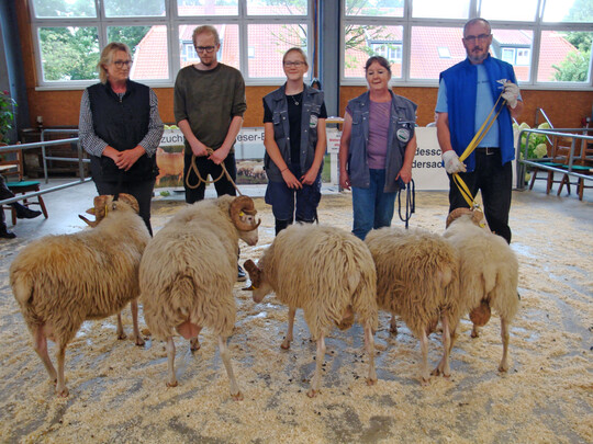 Der Heidschnucken-Jährlingsbock von Hollmann (l), wurde Klassensieger und später Gesamtsieger.
