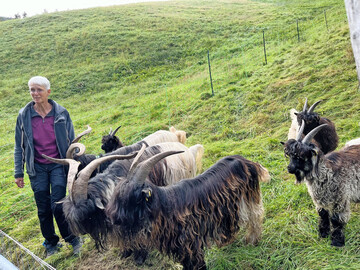 Melanie Schweikart informierte �ber ihre Zucht der Walliser Schwarzhalsziegen.