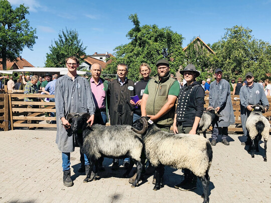 Sieger und Reservesieger (v.l.): Mister Müden 2025 mit Züchter Maximilian Fischer, Preisrichter Matthias Brockob, Zuchtleiter Klaus Gerdes, Geschäftsführerin Wiebke Mohrmann, Clemens Lippschuss und Josefine Schön vom Verein Naturschutzpark Lüneburger Heide mit dem Reservesieger.