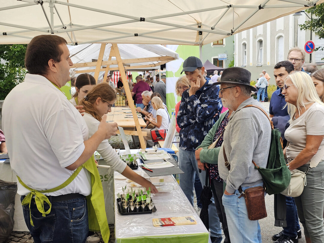 Publikumsprfung  Verbraucher testen die Milchprodukte auf dem Internationalen Kse- & Gourmetfests in Lindenberg im Allgu.