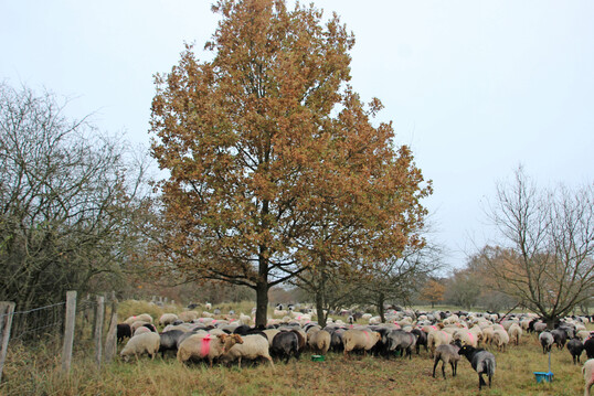 Ankunft auf der Wiese in Barendorf als Zwischenstation.