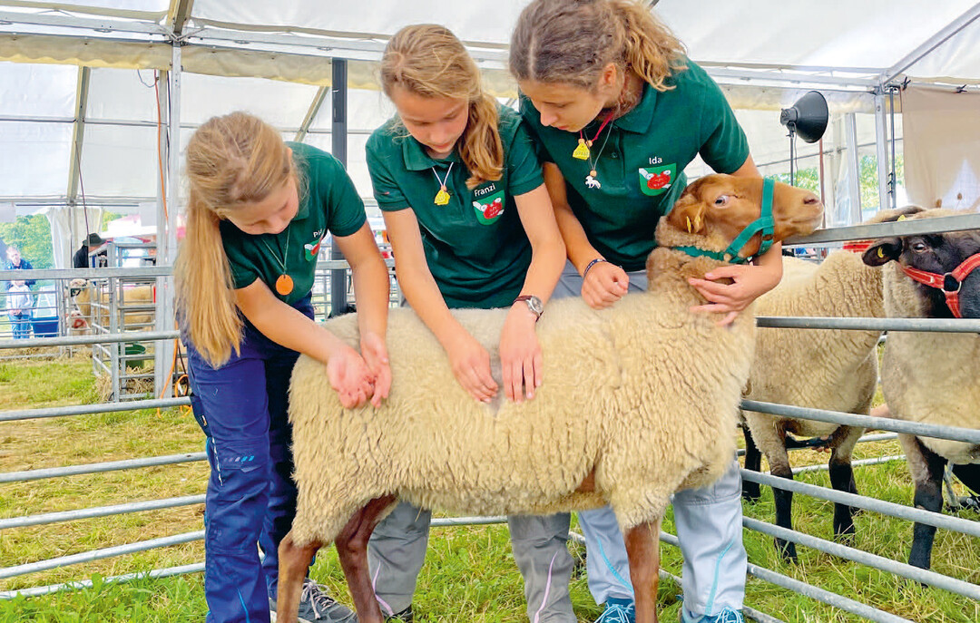 Sieger im Teamwettbewerb der Junioren-Klasse (v.l.): Pia Schepp, Franziska Schneider und Ida Heitze.