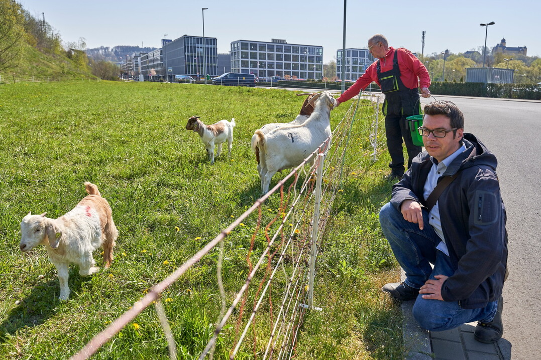 Markus Kuch (r.) und Josef Kaiser besuchen die Ziegen am Bahndamm in Montabaur.