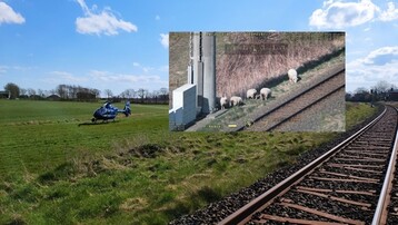  Besatzung eines Bundespolizeihubschraubers vertreibt Schafe von Gleisen. 