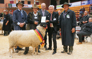 Fr die Zucht des Bundes-Vizechampions, den Rhnschafbock mit der Kat.-Nr. 320 aus der Zucht 
von Stefan Heintz, nimmt Reinhard Heintz die Goldene VDL-Medaille entgegen. Von links: Alfons 
Gimber, Reinhard Heintz, Prof. Dr. Ludwig Theuvsen (CDU), Dr. Stefan Vll und Werner Neumann.