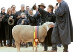 Kerstin Smietana freut sich über
ihren Champion, den Merinolandschafbock mit der Kat.-Nr. 20.
