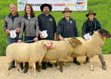 Rassesieger dieser Gruppe (v.l.): Kat.-Nr. 369, Leineschaf und Vize-Champion dieser Gruppe aus der 
Zucht von Katja Gtz und Karlheinz Kempe, Kat.-Nr. 
293, Fuchsschaf aus der Zucht von Burkhardt 
Lehmann, und der Rhnschafbock mit der Kat.-Nr. 
320, der Vize-Bundes-Champion, hier vorgefhrt von 
Katharina Wirth.