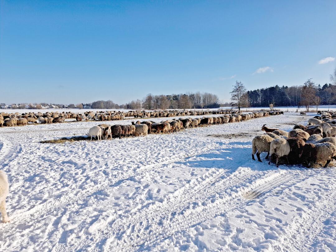 Winterzuf�tterung.